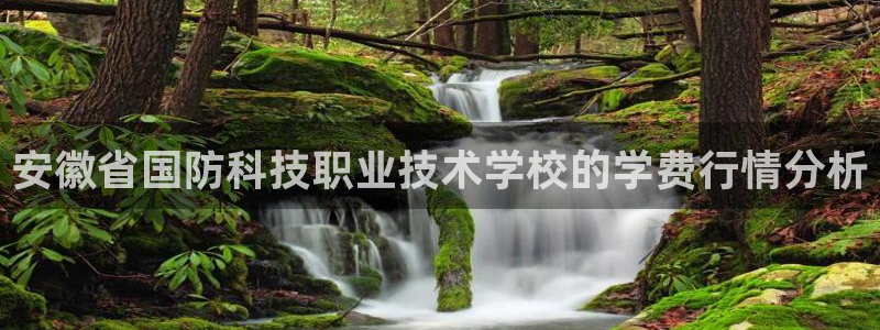 安徽省国防科技职业技术学校的学费行情分析