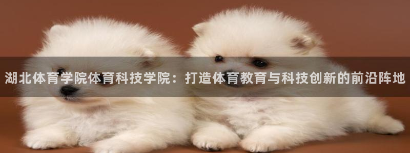 湖北体育学院体育科技学院：打造体育教育与科技创新的前沿阵地
