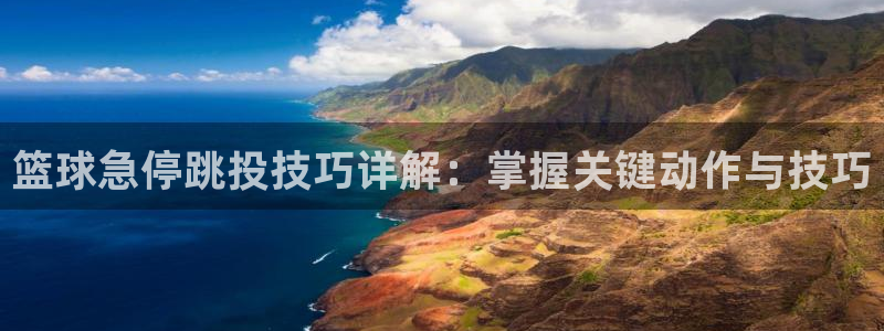 篮球急停跳投技巧详解：掌握关键动作与技巧