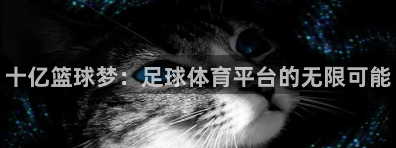 十亿篮球梦：足球体育平台的无限可能