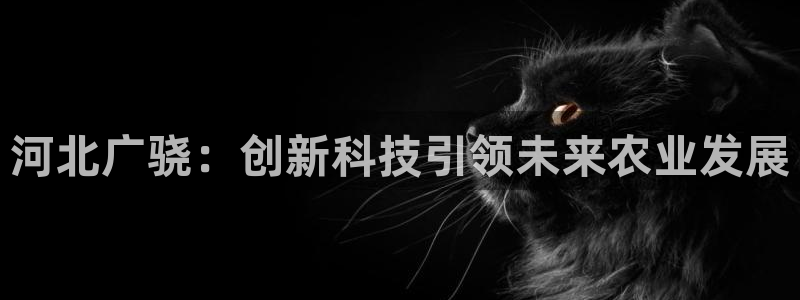 河北广骁：创新科技引领未来农业发展