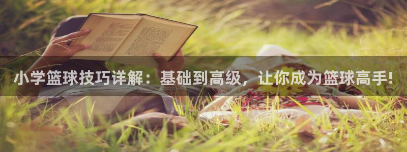 小学篮球技巧详解：基础到高级，让你成为篮球高手!