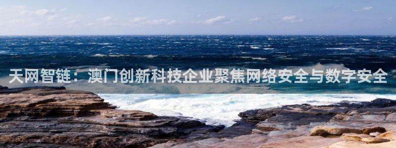 天网智链：澳门创新科技企业聚焦网络安全与数字安全
