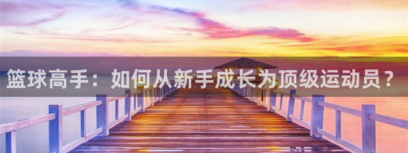 篮球高手：如何从新手成长为顶级运动员？