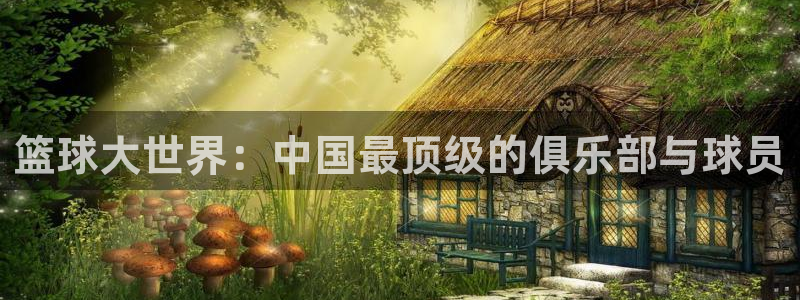 篮球大世界：中国最顶级的俱乐部与球员