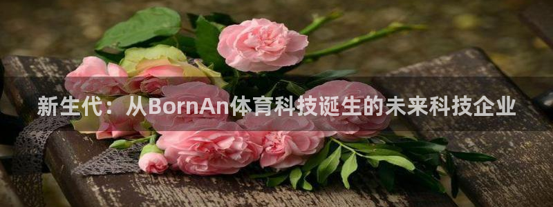 新生代：从BornAn体育科技诞生的未来科技企业