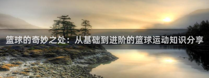 篮球的奇妙之处：从基础到进阶的篮球运动知识分享