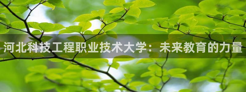 河北科技工程职业技术大学：未来教育的力量