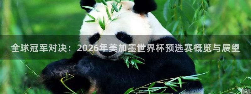 全球冠军对决：2026年美加墨世界杯预选赛概览与展望