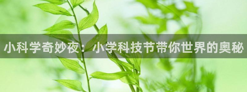 小科学奇妙夜：小学科技节带你世界的奥秘
