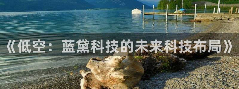 《低空：蓝黛科技的未来科技布局》