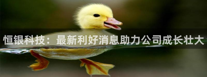 恒银科技：最新利好消息助力公司成长壮大