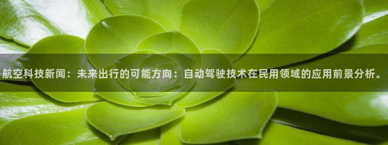 航空科技新闻：未来出行的可能方向：自动驾驶技术在民用领域的应用前景分析。