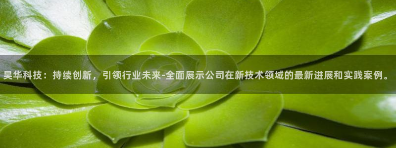 昊华科技：持续创新，引领行业未来-全面展示公司在新技术领域的最新进展和实践案例。