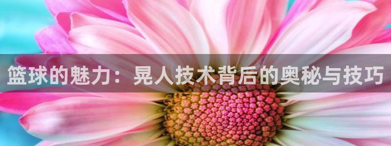 篮球的魅力：晃人技术背后的奥秘与技巧