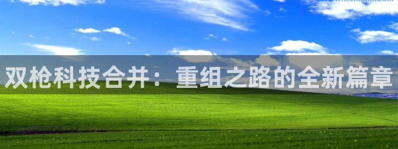双枪科技合并：重组之路的全新篇章