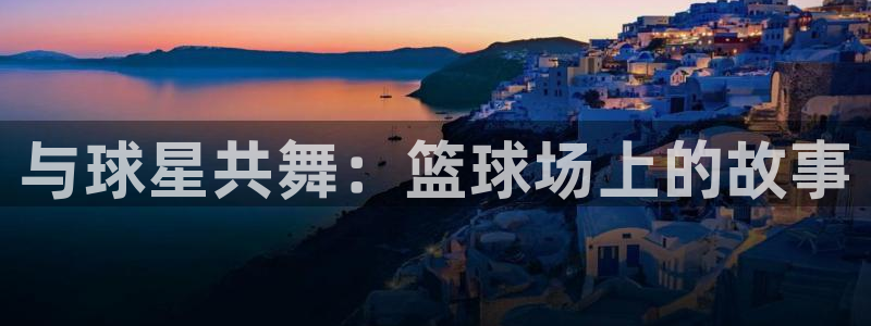 与球星共舞：篮球场上的故事