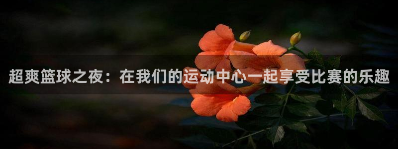 超爽篮球之夜：在我们的运动中心一起享受比赛的乐趣