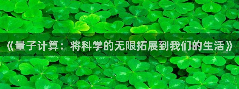 《量子计算：将科学的无限拓展到我们的生活》