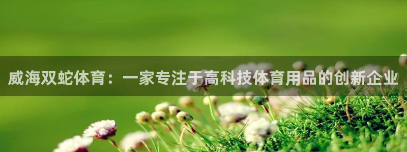 威海双蛇体育：一家专注于高科技体育用品的创新企业